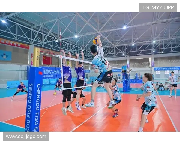 成都排球队夺冠最新排球速度排行榜前十名揭晓